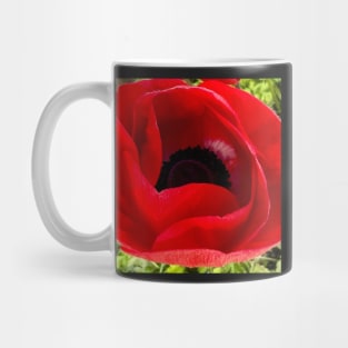 The Peaceful Red Christmas Poppy Mug